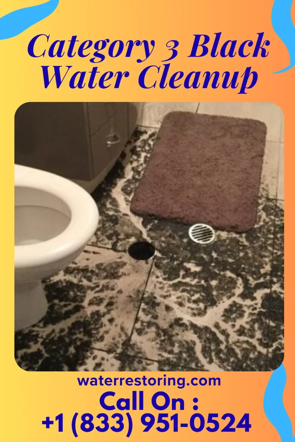 Category 3 Black Water Cleanup in Eagle Creek, PA