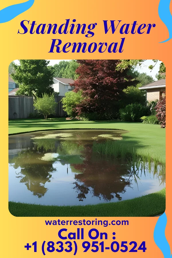 Standing Water Removal in Eagle Creek, PA